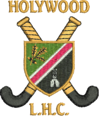 Holywood Ladies Hockey